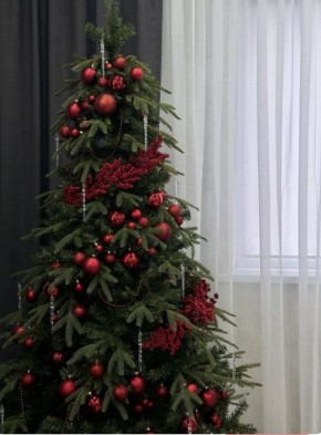 ����������� ���� � ����� ������ � ������ ����