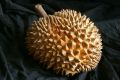 Дуриан: экзотический фрукт, который будит чувства