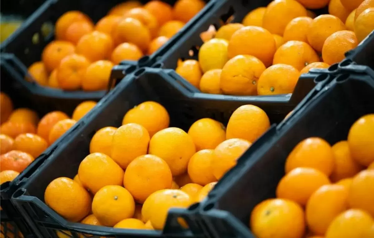 Снижение закупок грузинских мандаринов