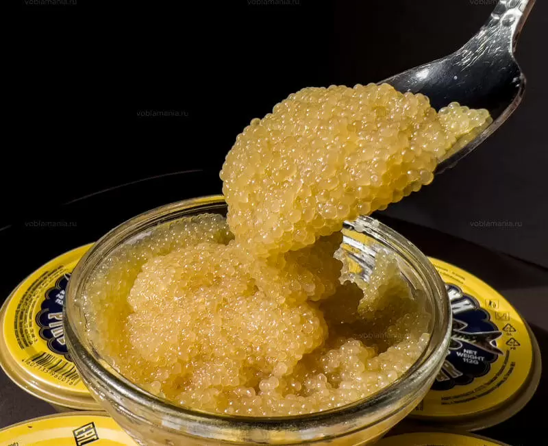 Щучья икра: редкий деликатес с историей и непревзойденным вкусом