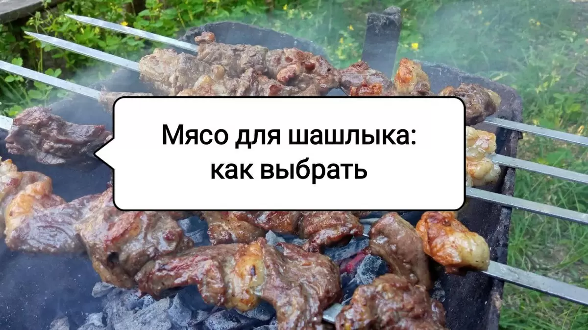 Выбор мяса для идеального шашлыка