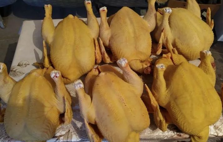 Почему домашние куры ярко-желтые: раскрываем секреты натурального окраса