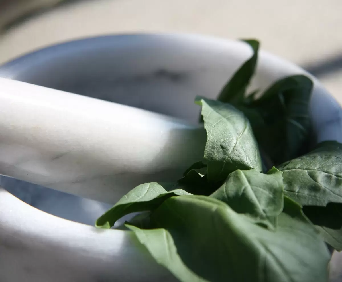 Как приготовить классический лигурийский соус песто за 25 минут