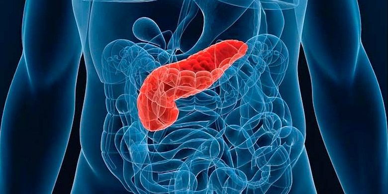 Как поджелудочная наладила работу после отказа от привычных продуктов