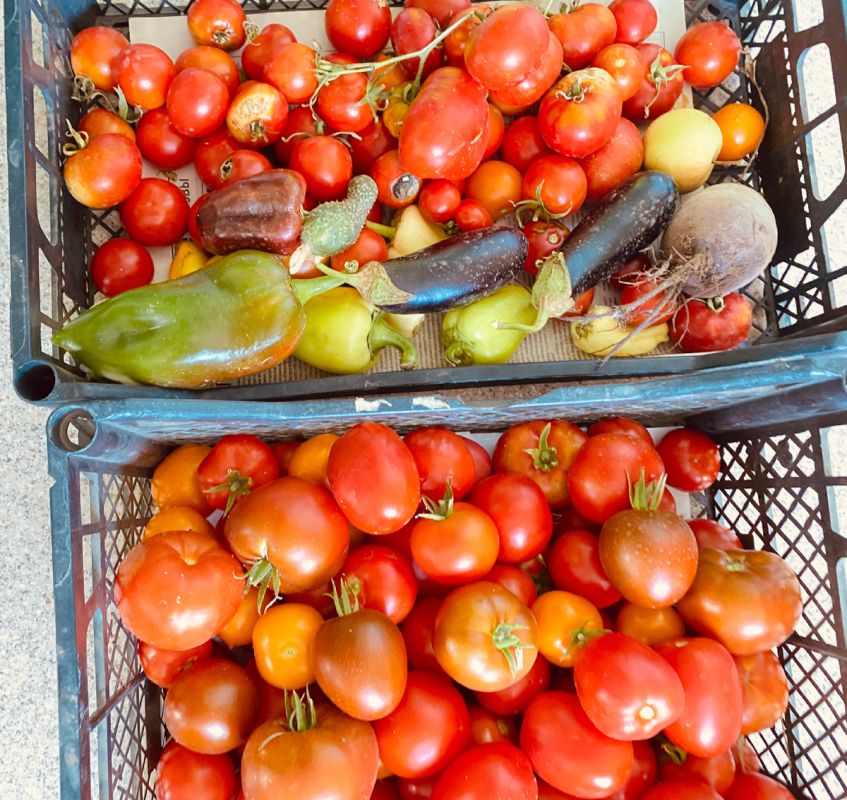 Солнечный день на огороде: вкусные котлеты и домашние хлопоты