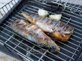 Рыба на мангале: почему это лучше, чем мясо?